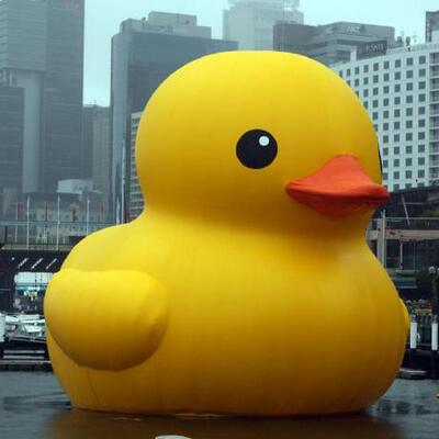 personifieddevil@ieji.de