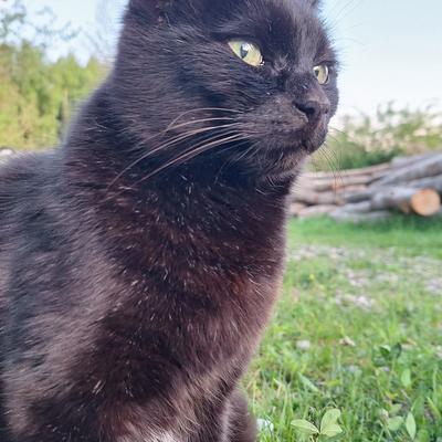 luki