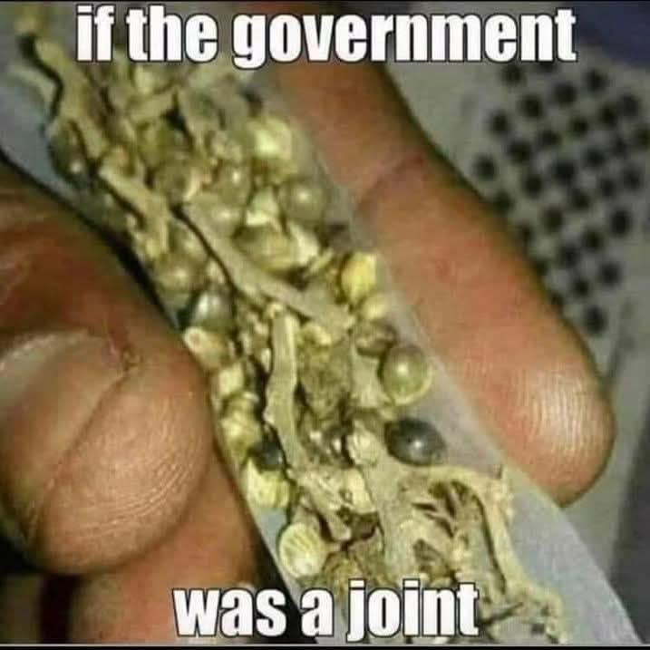 Someone has rolled a joint, but it's nothing but stems and seeds.
If the government was a joint.