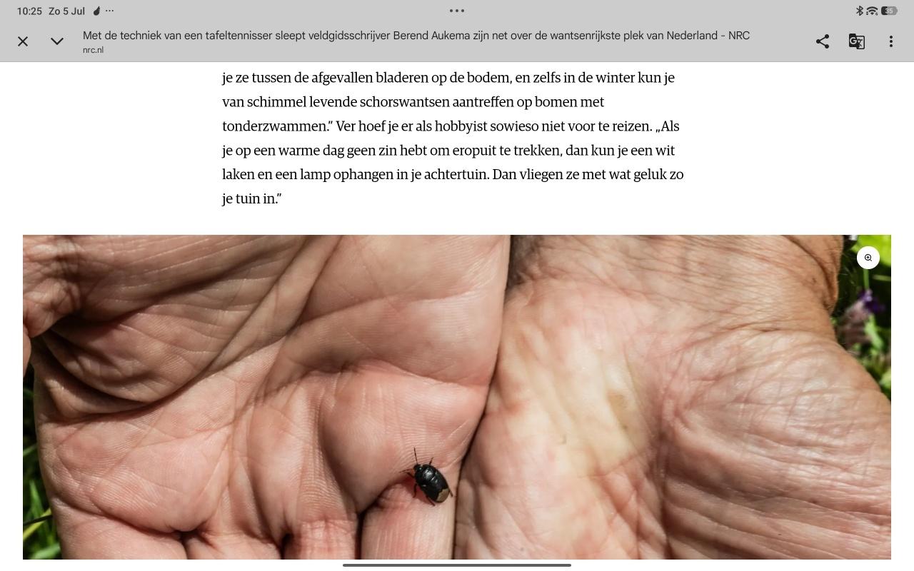 wants op twee oude handen