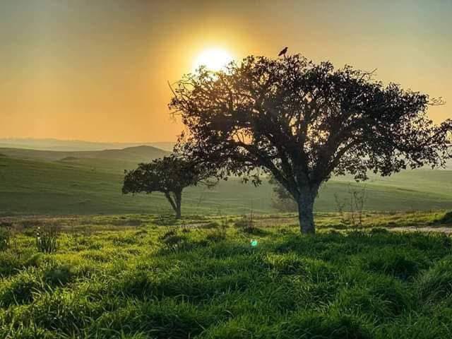 ​The nature of the Galilee region in northern occupied Palestine—a land that captivates hearts and inspires poetry, immortalized in the verses of Mahmoud Darwish—stands as a testament to Palestine's beauty and ancient heritage, despite the occupation.
