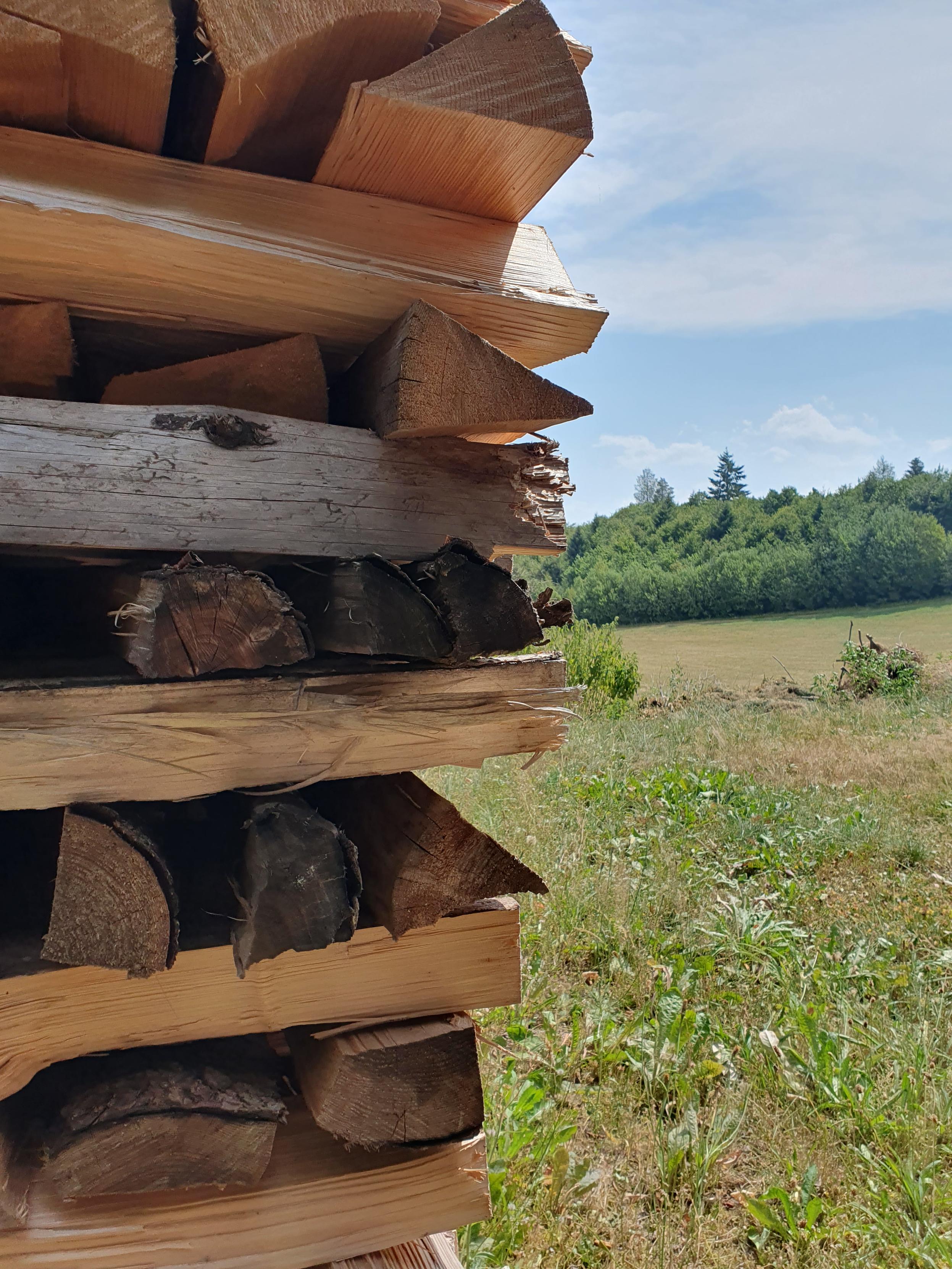 Im Vordergrund auf der linken Bildhälfte ein Stapel Holz. In der rechten Bildhälfte dahinter Schwarzwald-Landschaft.