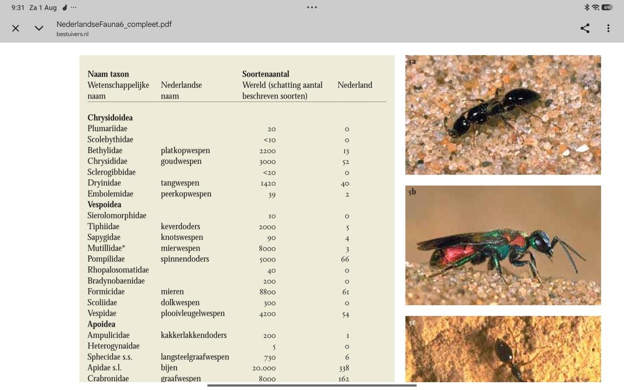 pagina uitboek, met wat kleurfotos en een tabel met taxons