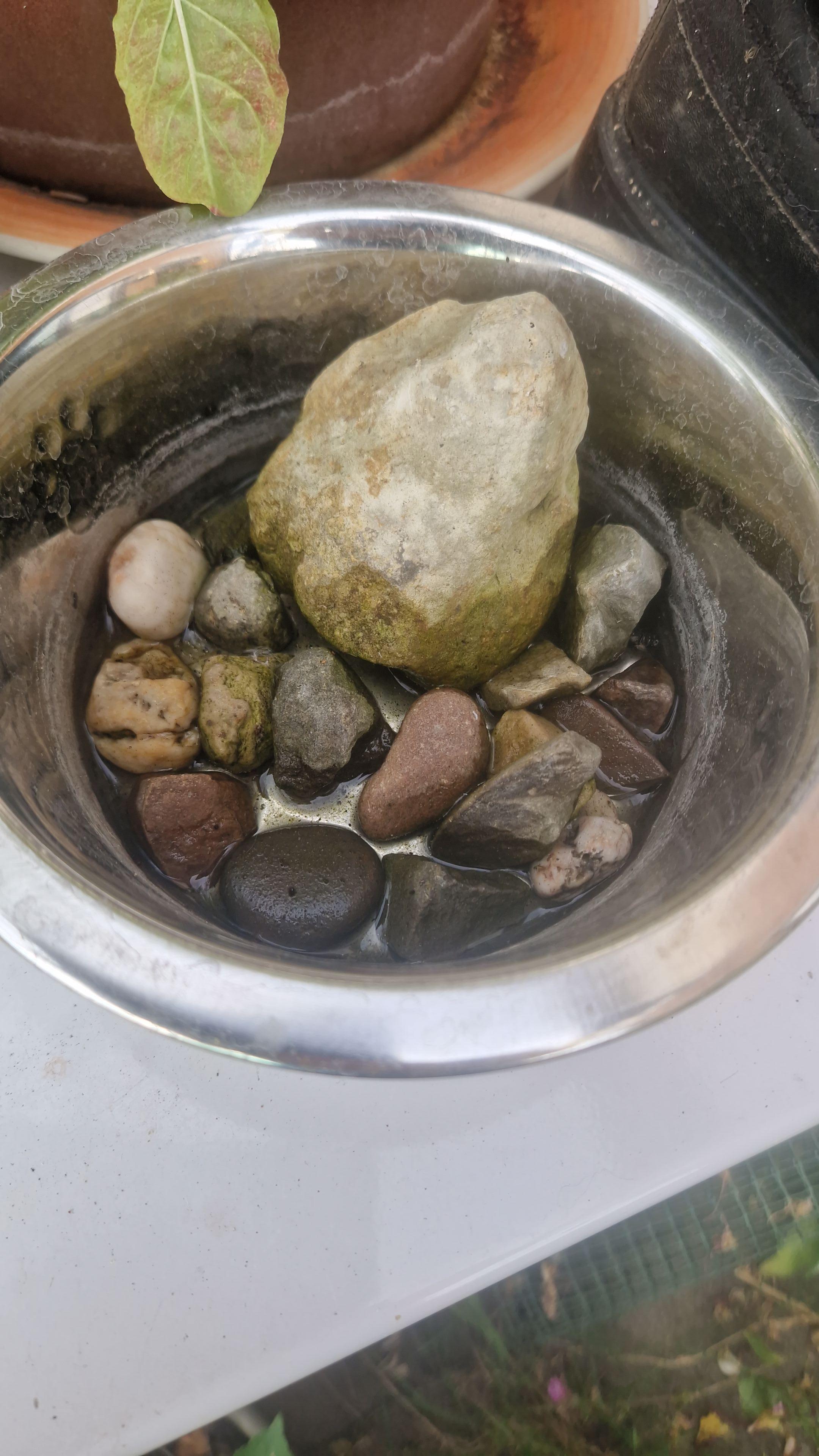 Photo of a bowl outside containing different sized stones & enough water to half cover them