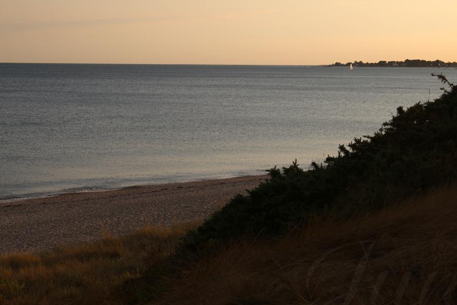 The ocean shore viewed from the top of a sand hill at sunset. The dune is covered by gorse and dried grass and close the picture at the right side. At its bottom is a beach of sand. In the background the sea is very peaceful but there is a small sailboat that is coming back home. 
––––––
Shot with Canon 70D + EFS 18‑55mm f/3.5‑5.6 IS2 on August 2022.
55mm – 1/200s – f/9 – ISO 100
