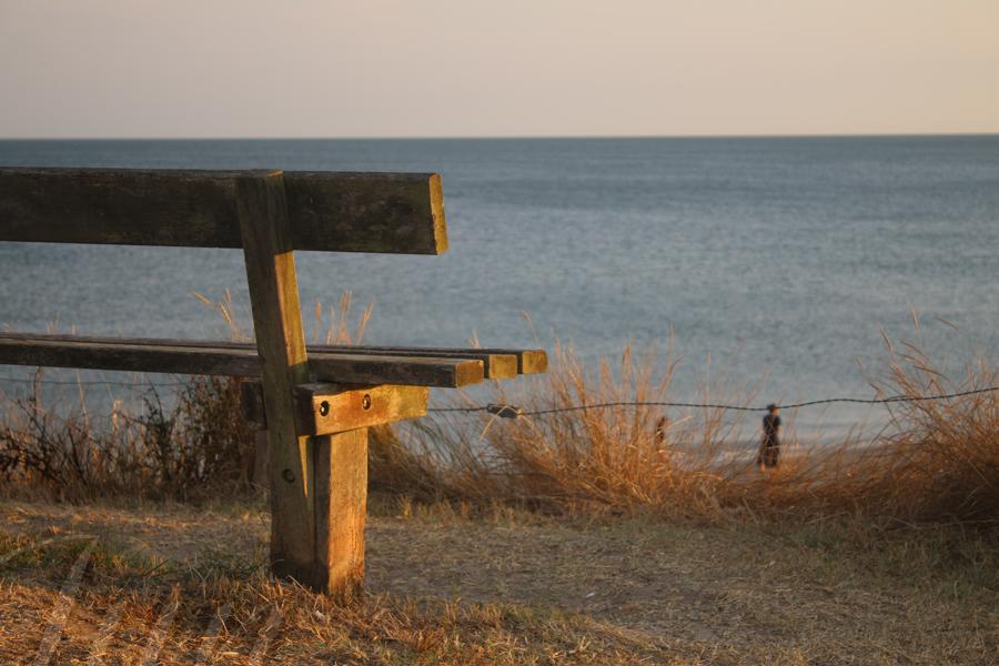A view on the ocean from the top of a sand dune under the golden light of a sunset. In the foreground is the end of a bench that is surrounded by yellow mawned grass, dryed shrubs and an iron wire. In the background the sea is very peaceful. At the bottom of the hill, out of focus, a mother and her daughter are walking on the beach. The distance and the dark wire look like an allegory suggesting that building a family is a forbidden dream from the viewer's side… 
––––––
Shot with Canon 70D + EFS 18‑55mm f/3.5‑5.6 IS2 on August 2022.
55mm – 1/125s – f/5,6 – ISO 100