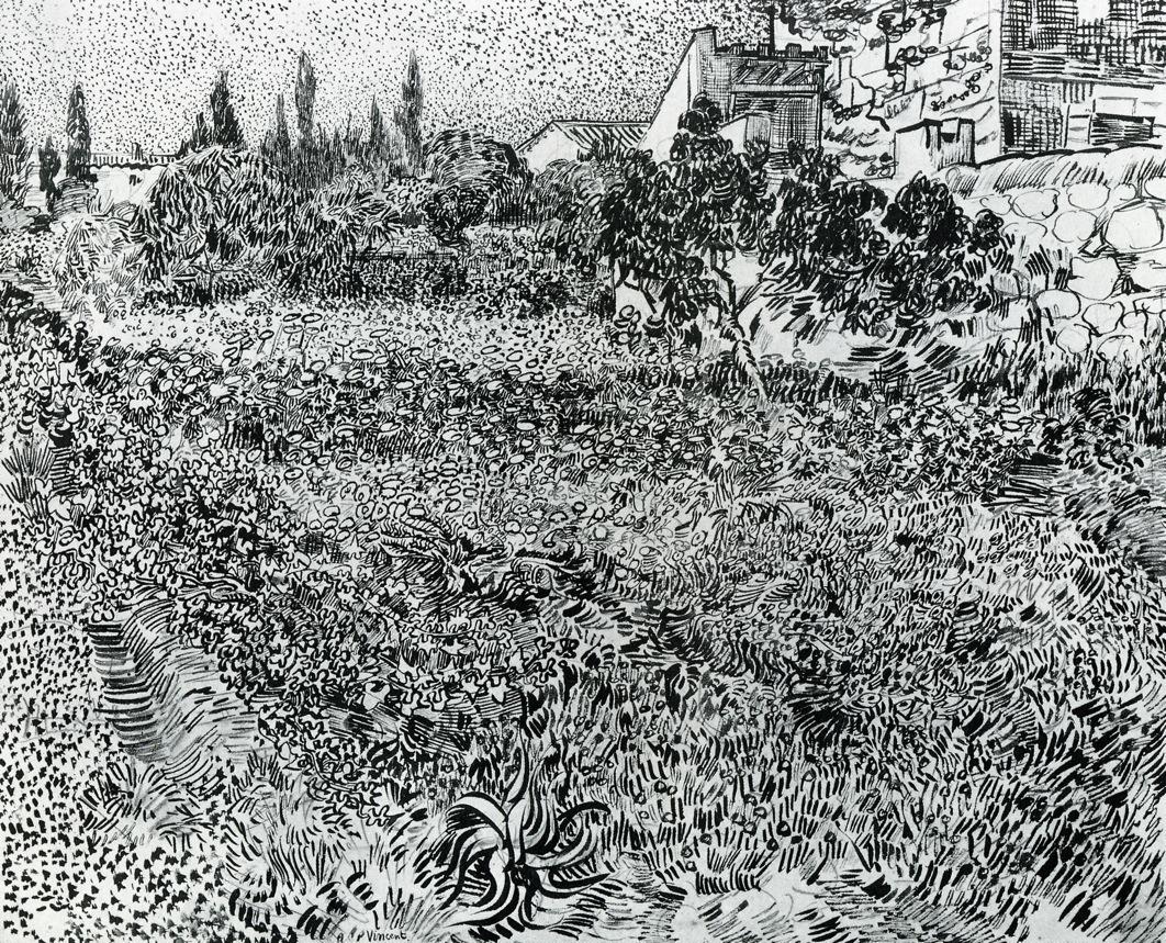 using black brush strokes the artist has created a thriving, wild garden, with zones of different plants rising to a stone wall and some buildings with trees alongside and beyond them