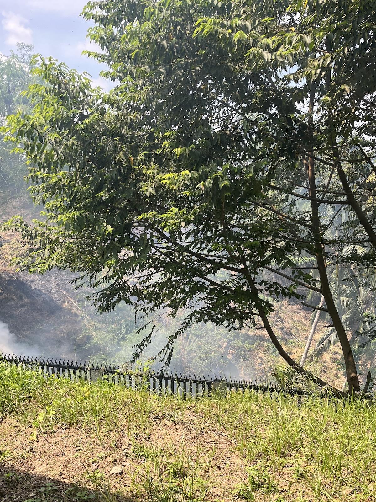 Partly obscured view looking down over an area of small gorges and ridges, with previously cut vegetation being burned off in a (fairly) controlled manner, to prepare the land for crop planting.