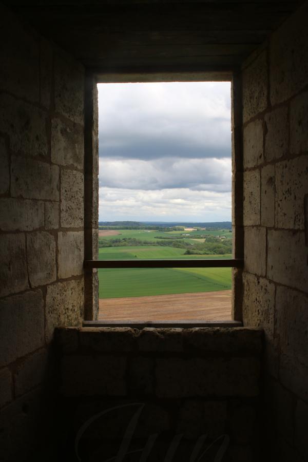 Inside a late medieval castle, we look out of an open window onto the countryside. You can barely make out the beige stone walls around the window in the dim light. On the contrary, the landscape is made of vivid colors despite the cloudy grey sky. There are several rectangular crops from brown to various shades of green, small woods between them and a large dark green forest that outlines the horizon. 
––––––
Shot with Canon 70D + EFS 18‑55mm f/3.5‑5.6 IS2 on April 2024. 
23mm – 1/80s – f/22 – ISO 320