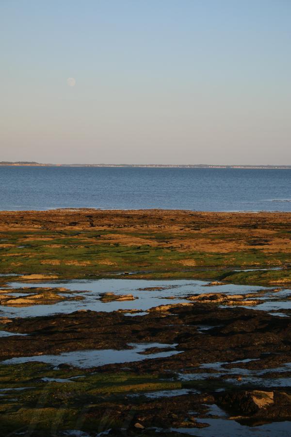 This is a vertical photograph mainly made of horizontal stripes. The upper two fifth are filled with a clear smoky sky where a waxing gibbous moon is barely visible. Just above a small stripe of peaceful ocean is a coastline that draws the horizon. The bottom half of the picture is made of rocks that are visible because of the ebb tide. The farthest ones are dry and camel colored by a low sun in our back. The closest ones are covered by green and brown algae and there are many mirror-like puddles amongst them that reflect the blue sky. 
––––––
Shot with Canon 70D + EFS 18‑55mm f/3.5‑5.6 IS2 on June 2026. 
55mm – 1/320s – f/6,3 – ISO 100
